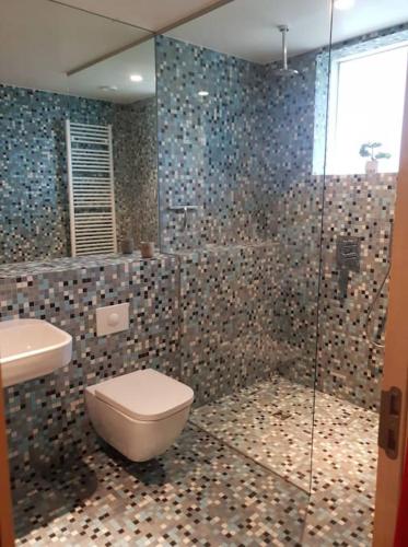 een badkamer met een toilet en een glazen douche bij 1-bedroom apartment by city center, free parking in Reykjavík