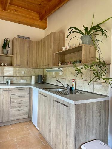 a kitchen with wooden cabinets and a sink at Drozdí hnízdo in Horní Břečkov