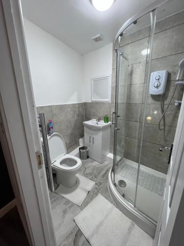 伯明罕的住宿－221 Soho，一间带卫生间和玻璃淋浴间的浴室