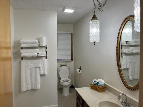 een badkamer met een wastafel, een toilet en een spiegel bij Mamaws Mountain View in Fletcher