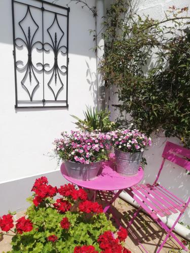 Photo de la galerie de l'établissement La petite maison de Marie, à Licques