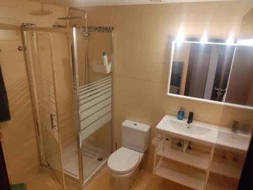 a bathroom with a toilet and a shower and a sink at Apartamento Turistico Dct. Creus in Guadalajara