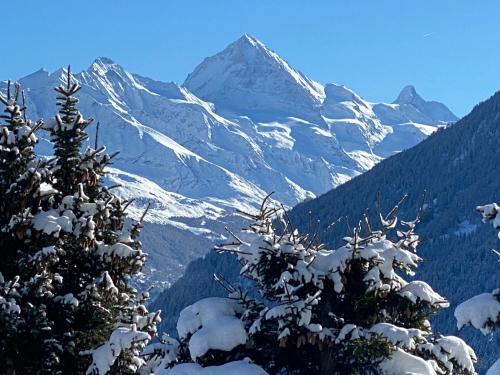 a snow covered mountain with trees in the foreground at La Pourvoirie - 4 Vallées - Thyon-Les Collons, 10 personnes, pistes de ski à 200m, vue magnifique ! in Hérémence