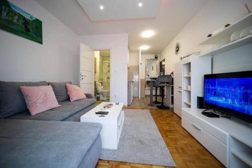 sala de estar con sofá y TV de pantalla plana en Studio Apartment Rayyan, en Zagreb