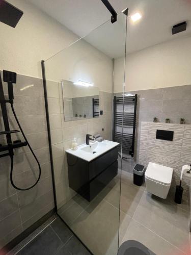 a bathroom with a sink and a shower and a toilet at Holdruta Vendégház in Kunfehértó