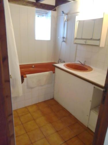 a small bathroom with a sink and a mirror at la mini ferme de maëlou in Sermaises