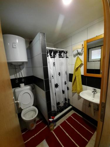 a small bathroom with a toilet and a sink at Vikendice Bungalovi Menzil in Zavidovići