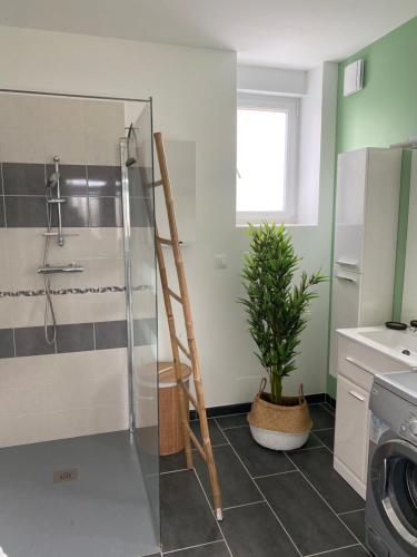 a bathroom with a glass shower and a plant at Maison les 3 fées , 3 chambres, Chamerolles in Courcy-aux-Loges