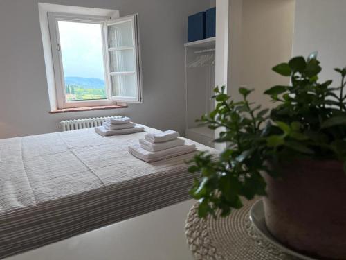 een slaapkamer met een bed met een potplant en een raam bij Il Gessetto di Monteverdi Marittimo, Borgo di Canneto in Canneto