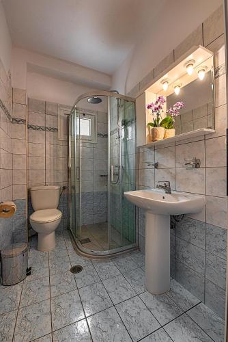 a bathroom with a toilet and a sink and a shower at Angelica Hotel in Agios Gordios