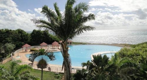 L'oiseau du Paradis vue mer Studio a Saint Francois a 100 m de la plage