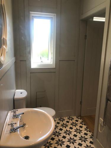 a bathroom with a sink and a toilet and a window at Willow Lodge 1 in North Newton
