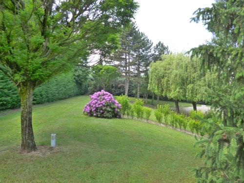 a garden with purple flowers and a tree at Hôtel Vulcain in LʼHorme