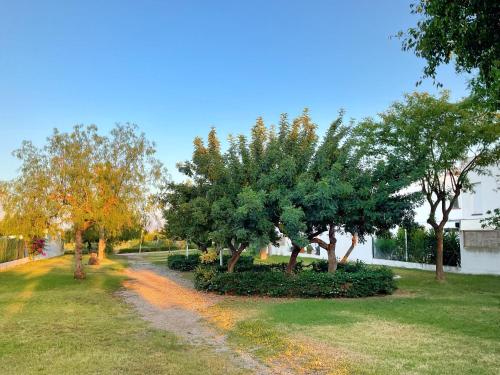 Κήπος έξω από το KS Toyo Golf - Kaleria Suites