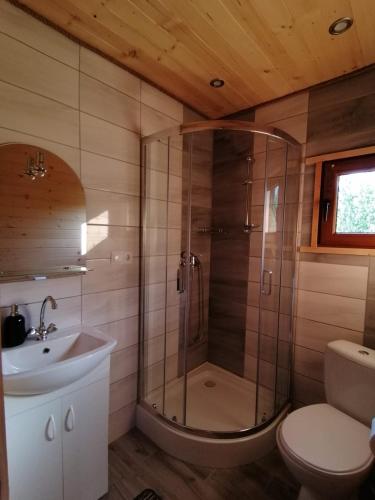 a bathroom with a shower and a toilet and a sink at Agroturystykadomkistawisko in Solina