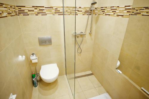 a bathroom with a shower and a toilet in it at Magio Apartments in Turda