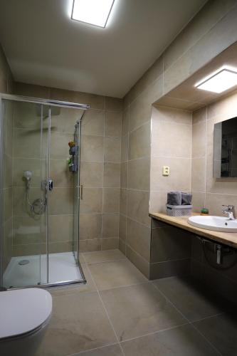 a bathroom with a shower and a toilet and a sink at Apartmány FELSENBURG Staré Splavy in Staré Splavy