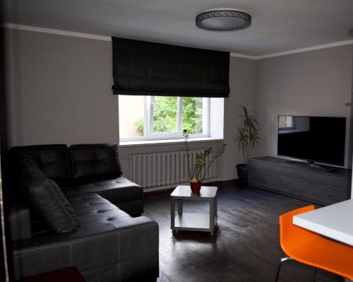 Mucenieku Apartamenti في كولديغا: غرفة معيشة مع أريكة وتلفزيون بشاشة مسطحة