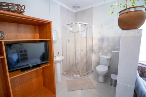 ein Bad mit einer Dusche, einem TV und einem WC in der Unterkunft Guesthouse@Spekboom in Klerksdorp