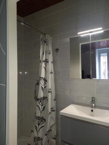 a bathroom with a shower curtain and a sink at Studio chemin compostelle in Saint-Gervais-sur-Mare