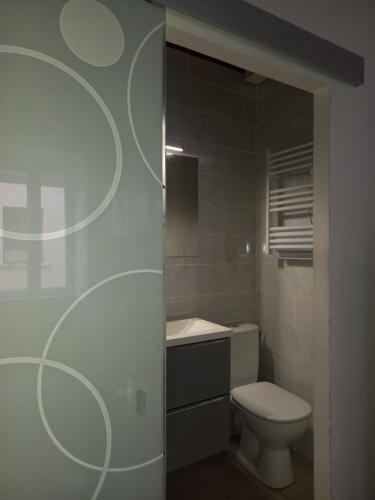 une salle de bain blanche avec des toilettes et un lavabo dans l'établissement Studio chemin compostelle, à Saint-Gervais-sur-Mare