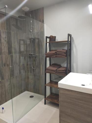 une salle de bain avec une douche, un lavabo et un comptoir dans l'établissement Au coeur du Pays Basque entre Mer et Montagne, à Hélette