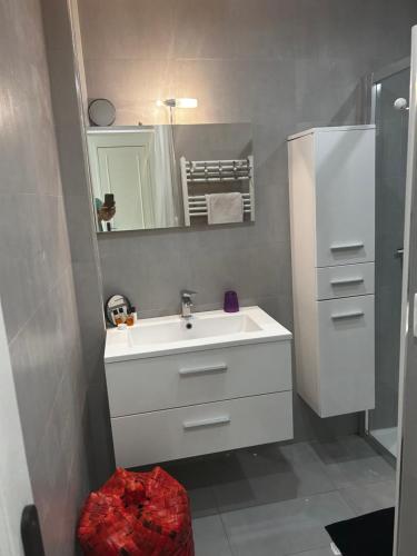 Modern cosy two bedrooms in Cannes , large terrace, 5 minutes from Croisette