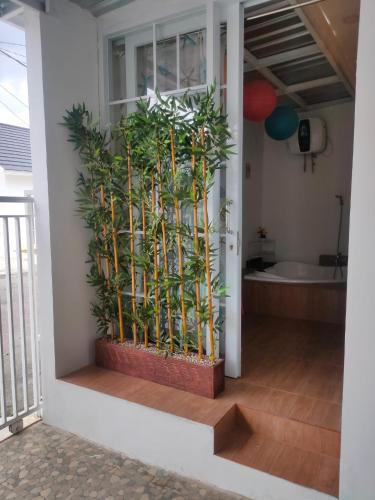 un jardín vertical en el lateral de una casa en Nel's House Villa Jacuzzi Sukabumi en Sukabumi