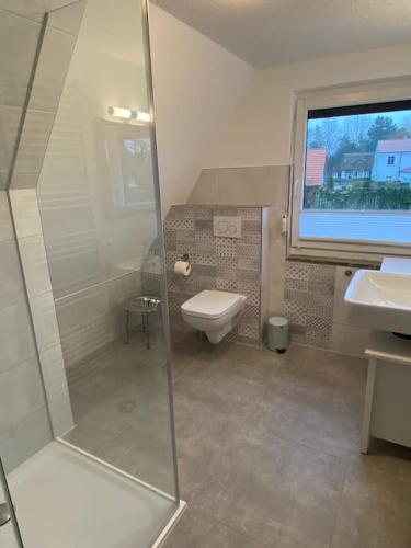 a bathroom with a shower and a toilet and a sink at Dat Smucke Reethus Dachgeschoss in Born
