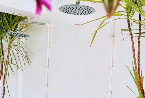 a shower in a bathroom with plants at Moana Beach House in Moalboal