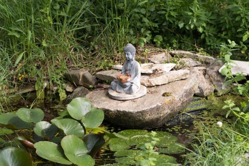 a statue sitting on a rock in a pond at Casa Spa d'Alma in Monchique