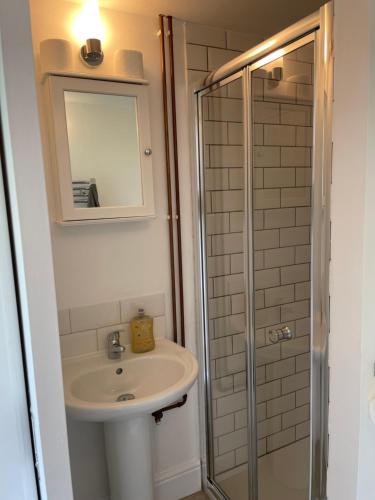 a bathroom with a sink and a shower at Garden Annexe in Kinsham