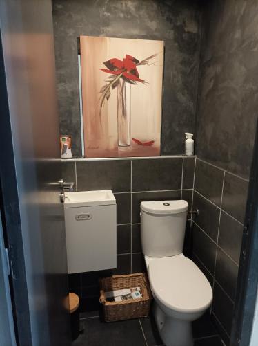 ein Bad mit einem WC und einem Wandgemälde in der Unterkunft Chambre proche de la gare in Saint-Brieuc