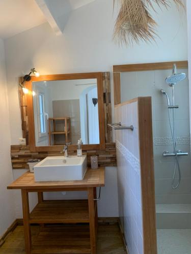 a bathroom with a sink and a shower with a mirror at La villa Paloma in Sylvéréal