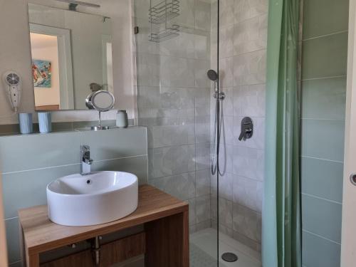 a bathroom with a sink and a shower at Rosemary Resort in Cesarica