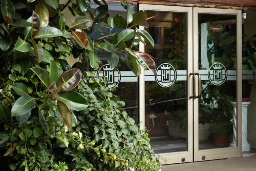 a large green bush next to a glass door at Hotel Melillanca in Valdivia