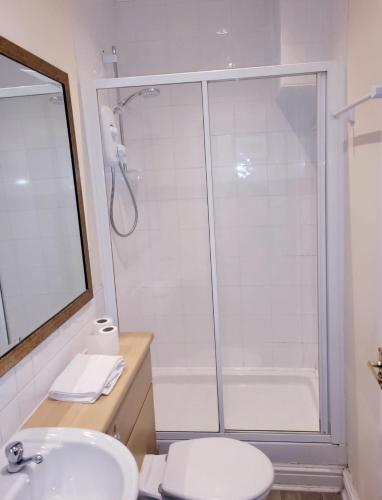 a bathroom with a shower and a toilet and a sink at The Grey Horse in Darlington