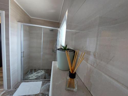 a bathroom with a shower and a potted plant at Katarica in Korenica