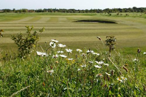 a field of grass with flowers in the foreground at 48 Oak Village Grange Leisure Park in Mablethorpe