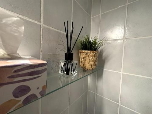 a glass shelf in a bathroom with two plants on it at Backnanger Terrassenstüble in Backnang