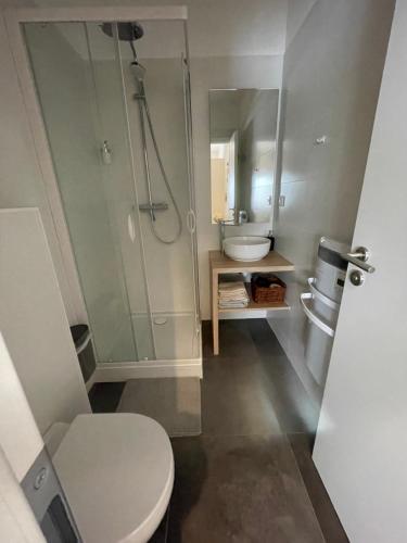 a bathroom with a shower and a toilet and a sink at Gîte de la bonne étoile in Geispolsheim