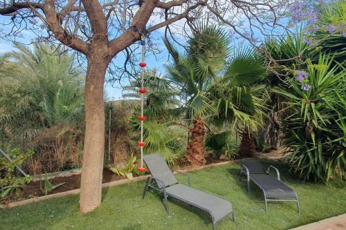 zwei Stühle neben einem Baum mit roten Bällen in der Unterkunft Oasis de Ifre in Cañada de Gallego