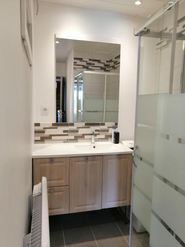 une salle de bain avec un lavabo et un miroir dans l'établissement Provence Verte, à Forcalqueiret