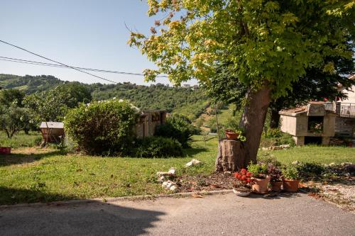 Cortile nel Conero – Photos 3