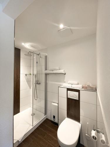 a bathroom with a toilet and a shower at RiBecca in Weyhe