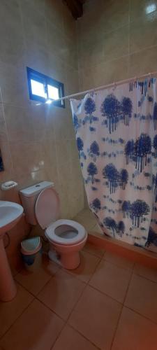 a bathroom with a toilet and a shower curtain at Paraiso del Sol in San Rafael