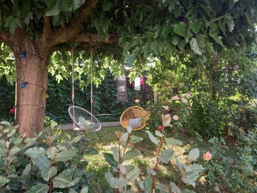 Maison de ville avec jardinet – Photos 2