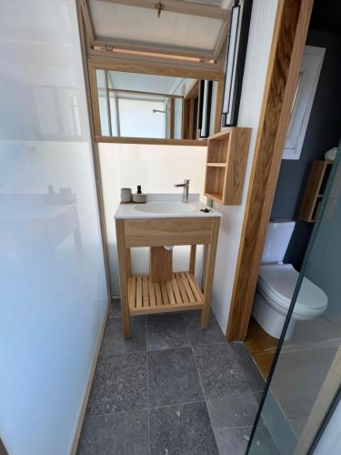 ein Bad mit einem Waschbecken und einem WC in der Unterkunft Corto in Lefkada Town