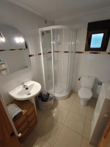 a bathroom with a toilet and a shower and a sink at Apartamento Premium Relax C in Bárcena de Cicero