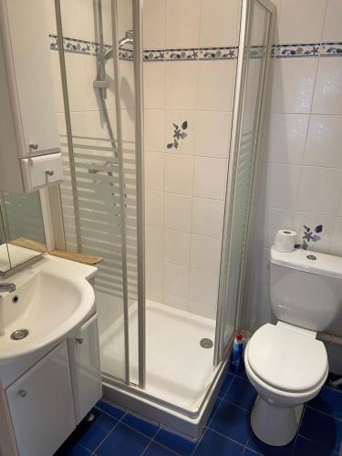 a bathroom with a shower and a toilet and a sink at BERCK SUR MER in Berck-sur-Mer